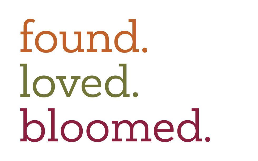 FLBLOGOcolor.png