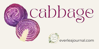 Watercolour of purple cabbage with the word cabbage
