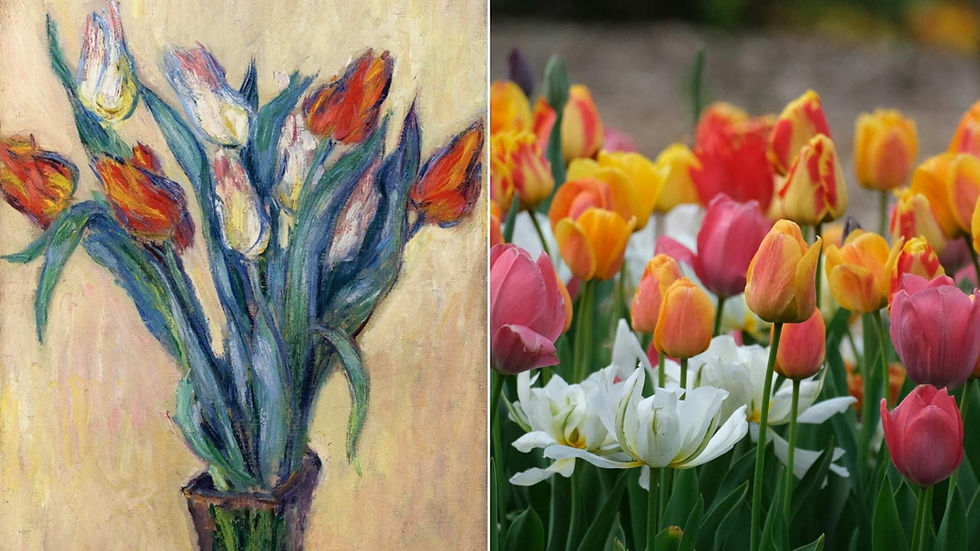 A painted vase of tulips on the left and a bed of colourful tulips blooming outdoors on the right.