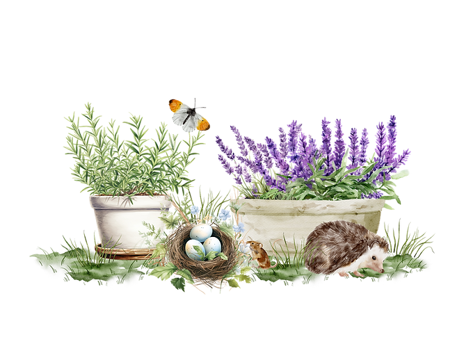 spring Garden Scene.png