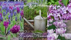 Cottagecore Garden Aesthetic: The Best Purple Flowers to Plant