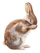 bunny illustration