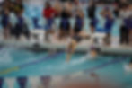 swimmer diving into pool