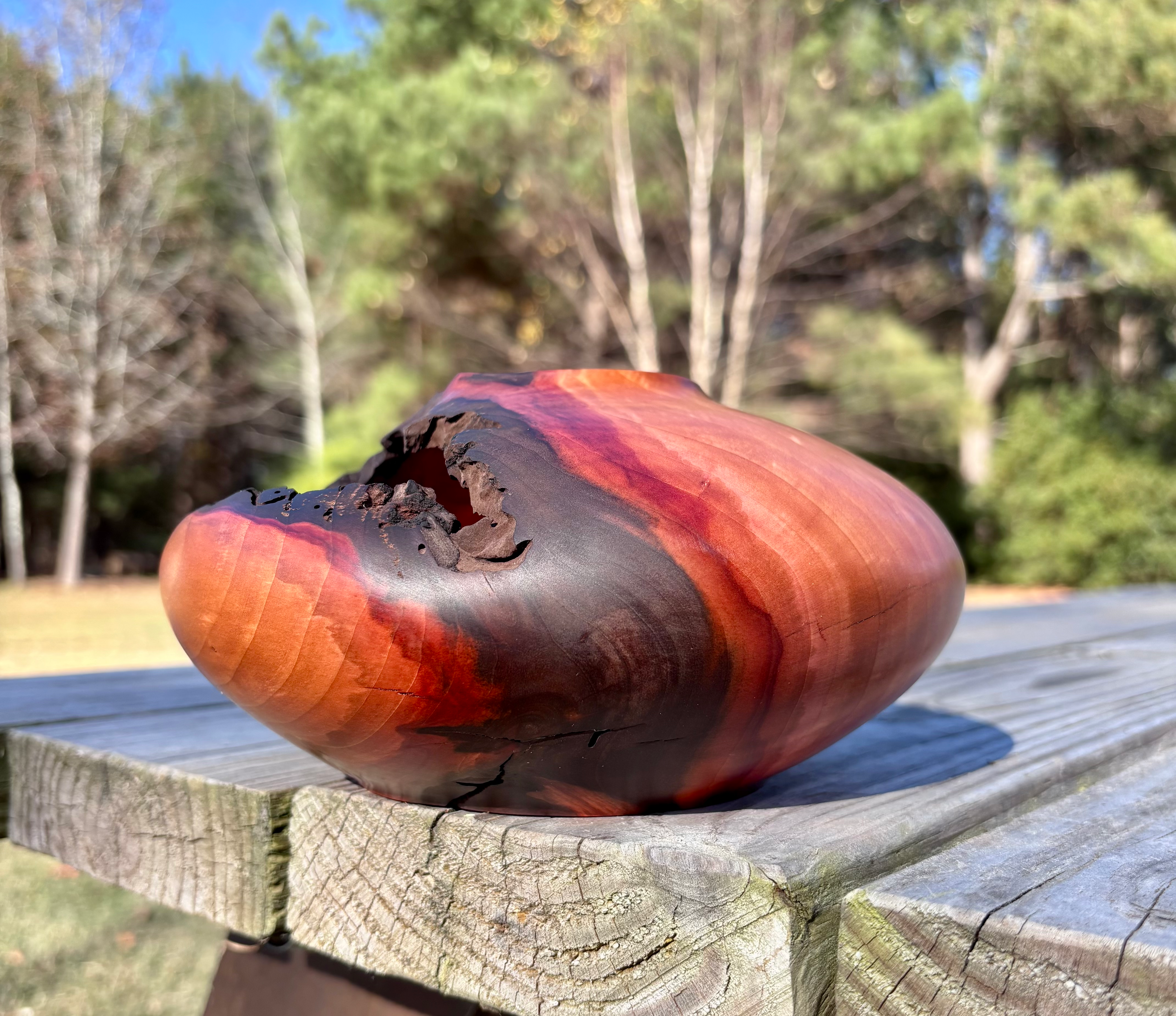 8 x 4 Bradford Pear Hollow Form