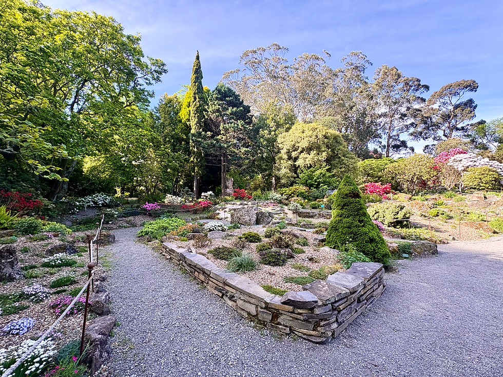 Botanic garden in Chrsitchurch with various plants, colourful flowers and a gravel path