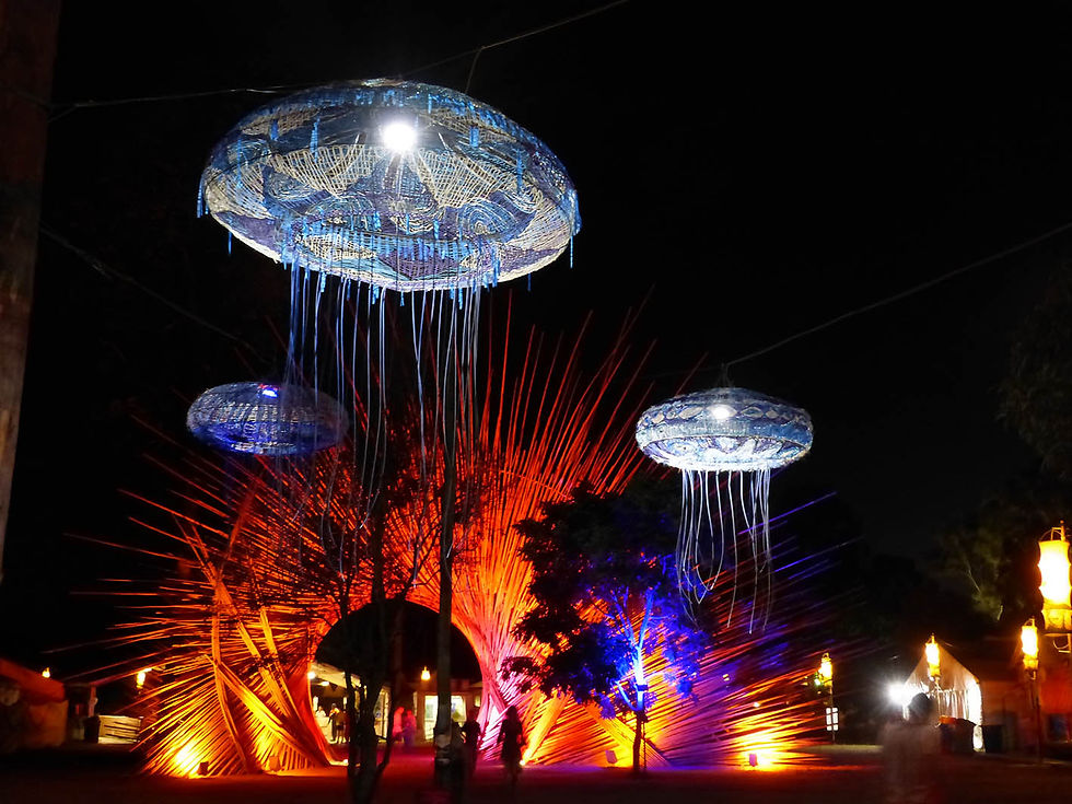 Jellyfishes in Space 2018