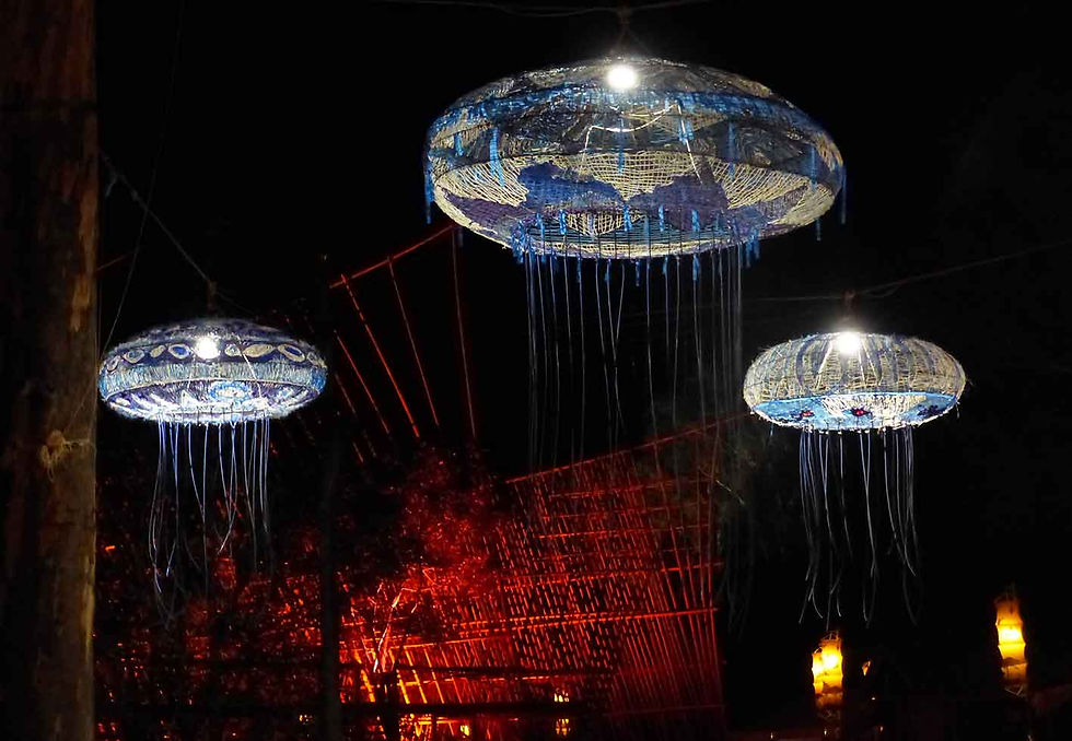 JELLYFISHES IN SPACE