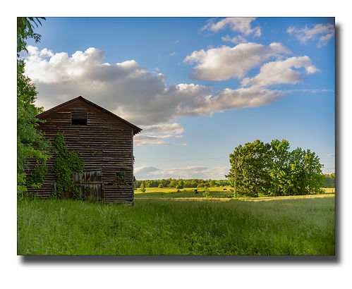bohannon.george_01_outside_daylight.jpg