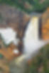 Copy of 36_Joanne.Lentz_01.jpg