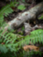 Judith.Schneider_01