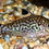 Miniatura: Corydoras reynoldsi