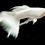 Miniatura: GUPPY BLANCO