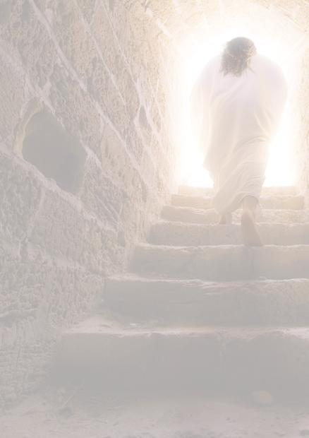 跟隨主的 腳蹤行.png