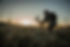 wp2074963-bow-hunting-wallpapers.jpg