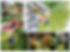 Untitled design_edited.jpg