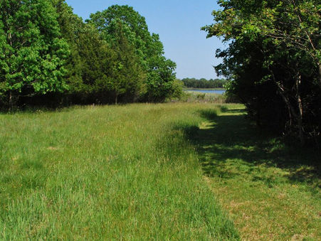 Hamptons Happenings: Bird Watching at Accabonac Harbor