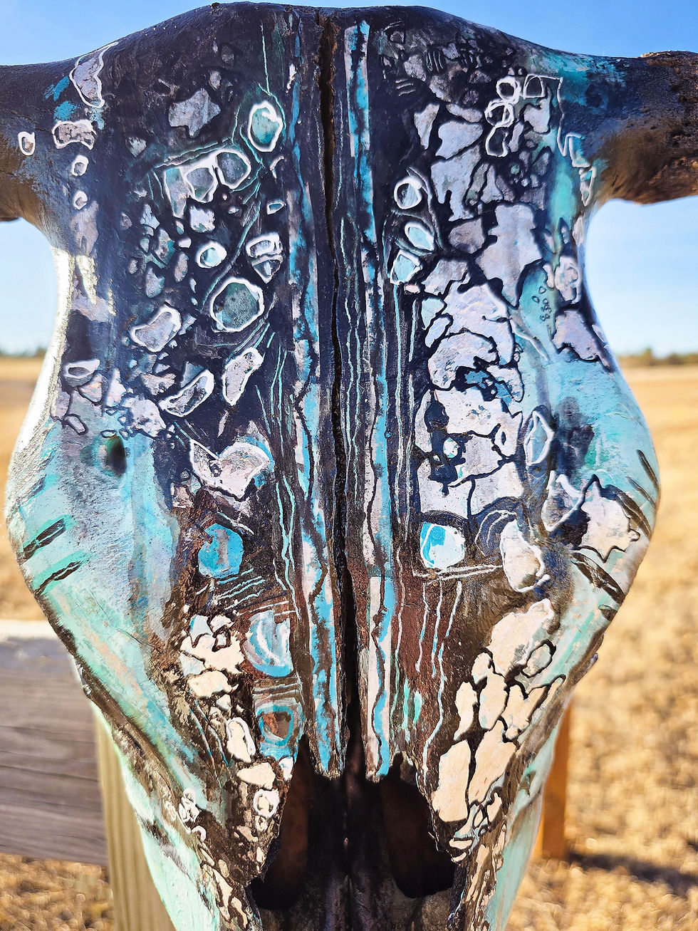 Thumbnail: Turquoise Outlaw Painted Cow Steer Skull Animal Wall Art Decor Painting