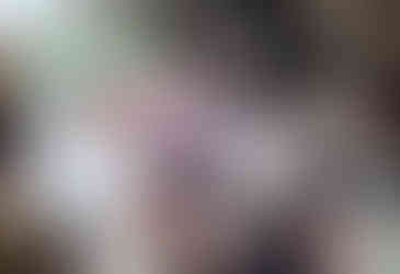 施設内での生活の様子