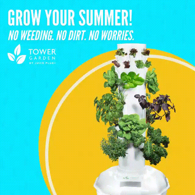 Tower Garden GrassRoots Jamaica F