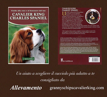 allevamento cavalier milano