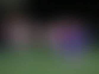 London City Lionesses demonstrate 'fluid connections' in emphatic win over Crystal Palace