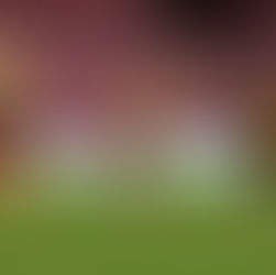 Georgia Brougham: 'Birmingham City clash is massive'