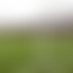 Match Preview: West Ham vs London City Lionesses