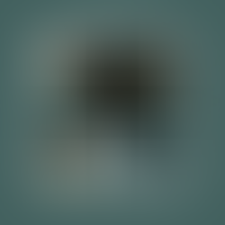 Wasteman (2025) Dir: Cal McMau