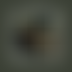 Steve (2025) Dir: Tim Mielants