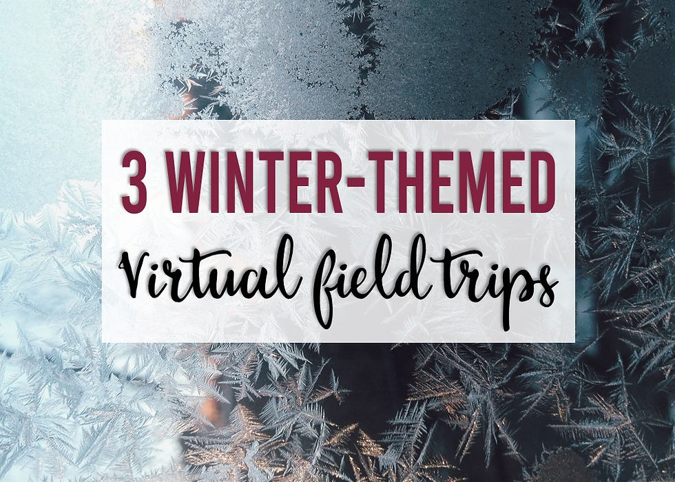 3 Virtual Field Trips to Take Your Students on This Winter Season