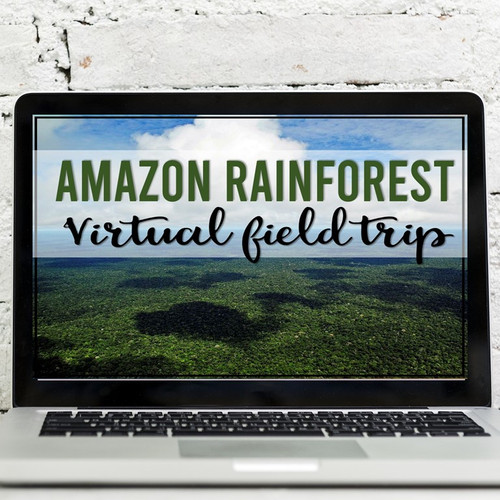 Amazon Rainforest Virtual Field Trip (Google Earth Exploration) Michelle McDonald