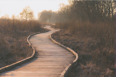 pathway.PNG