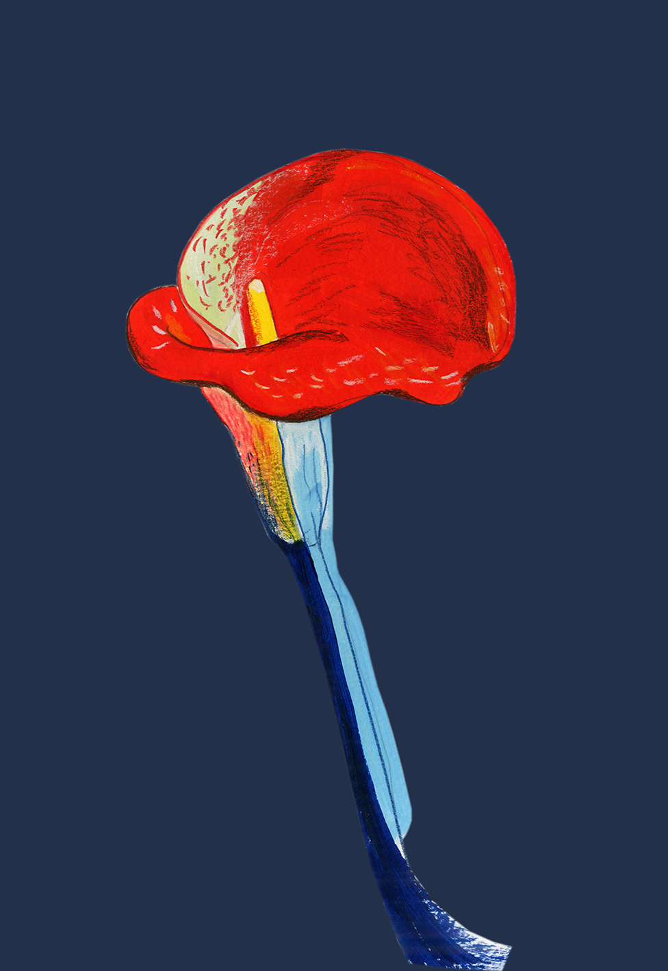 ree