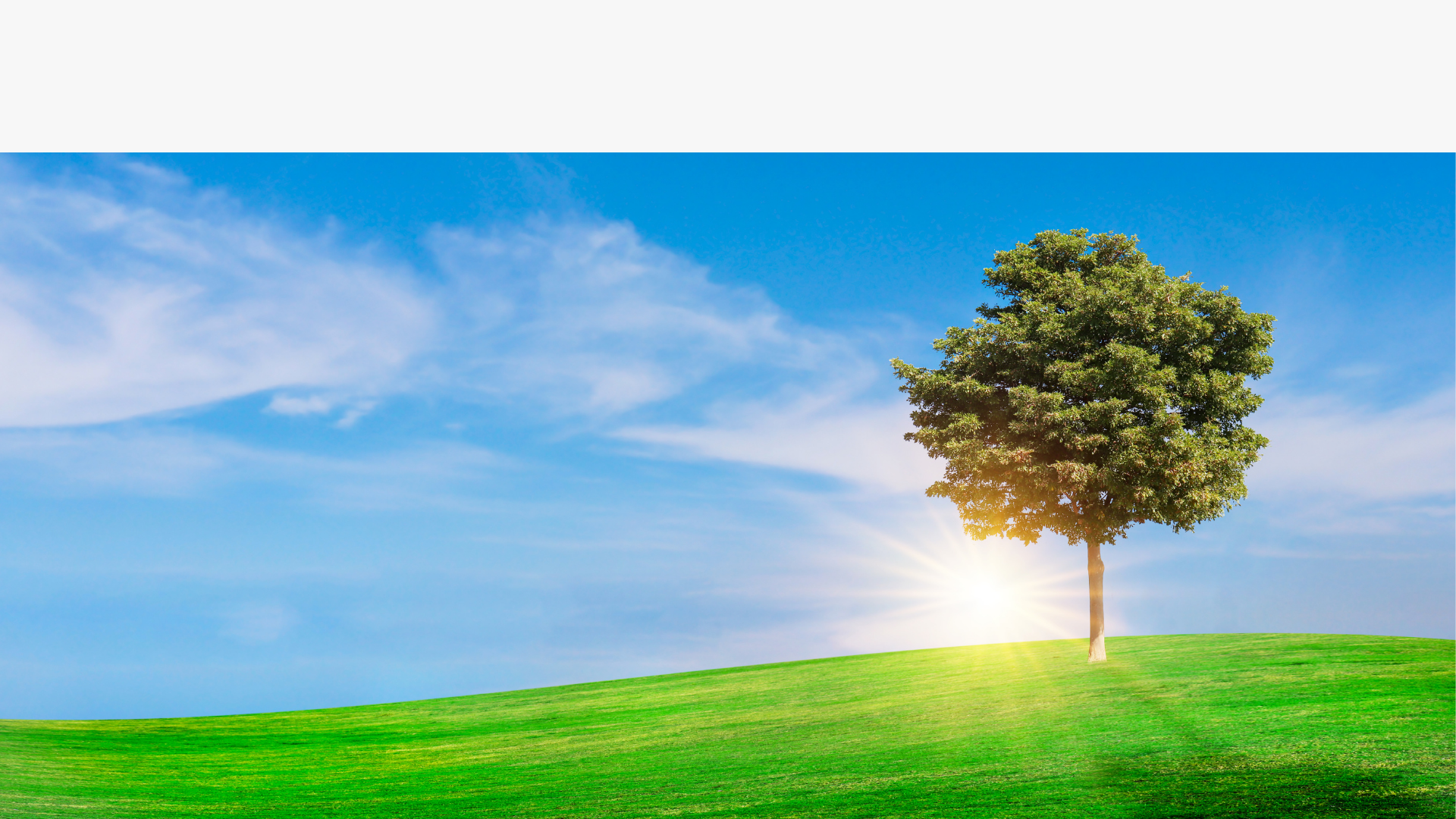 Healing Minds Therapy Pc