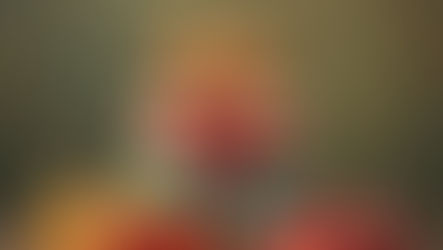 The Body Life - Spiritual Gifts and the Church [Sermon]