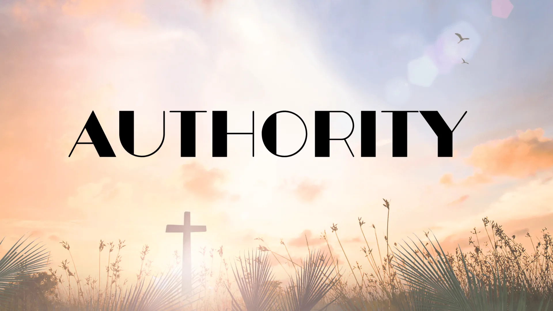 Authority-1920w.webp
