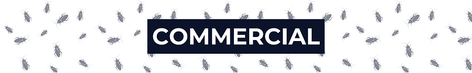 Reliable commercial pest control services to protect your business premises.