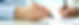 terms-banner.jpg