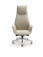 Office chair shown individually with a tall backrest and swivel base, illustrating variation in finish