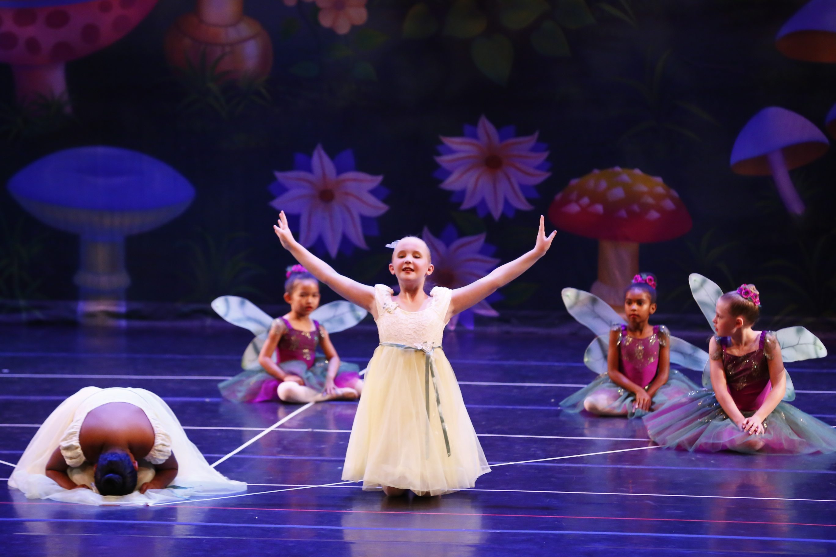 The Arts Center Lima, OH acutabovetherest