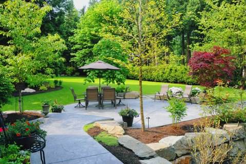 Local Central New York waste removal for professional landscaping, yard cleanups, and organic brush clearing.