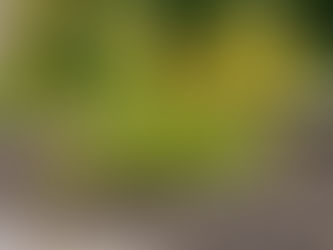 Central New York Landscape Refresh: Bulk Mulch, Stone, & Sand for Delivery with Clifton Equipment