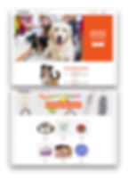 Pet Store - Wix Website Template