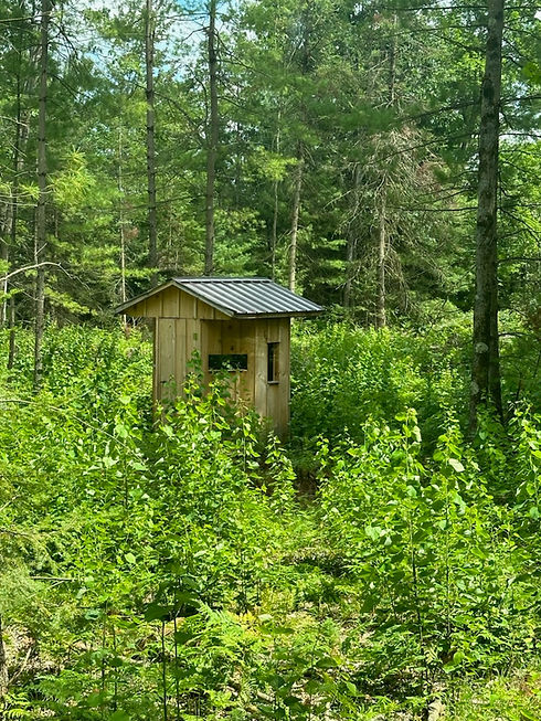 Landing page Preserving Nature photo.jpg