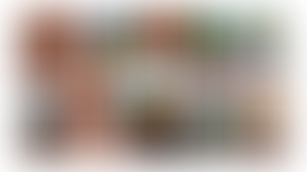 How to Select the Perfect Decking Colors for Your Home