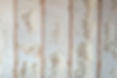 Foam Insulation