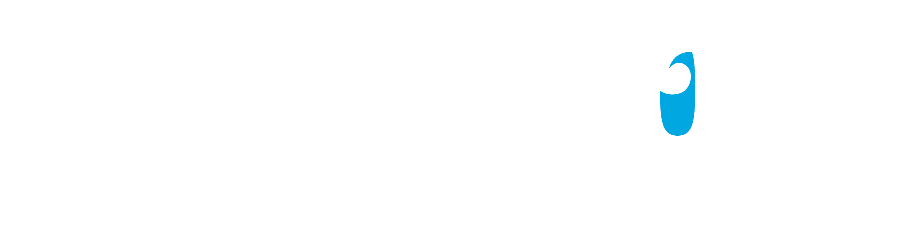 City2Shore National Franchise Logo