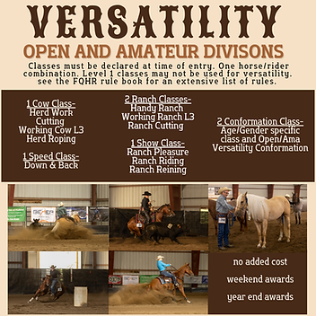 open_am versatility.png