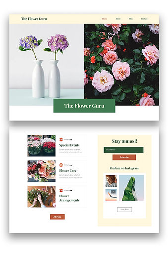 Affordable website templates