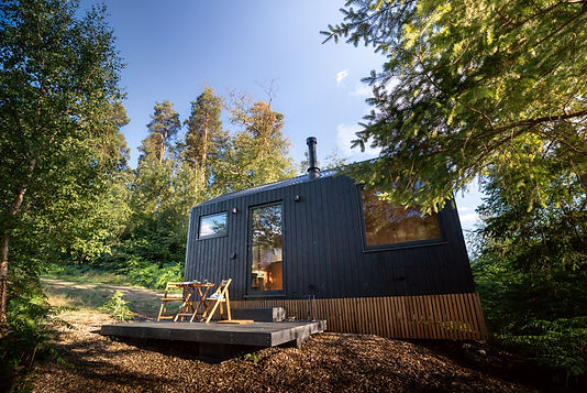 _everfindstudios _alicegearyfilms 33.JPG